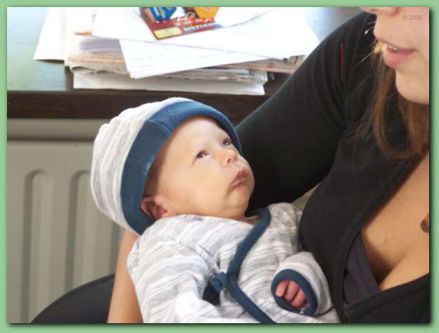 602x451 pixels (26K)